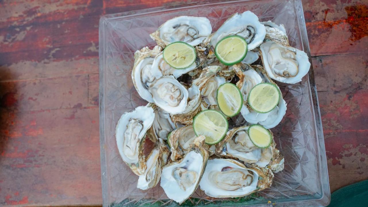 Tra Que Green Villa Hoi An Zewnętrze zdjęcie