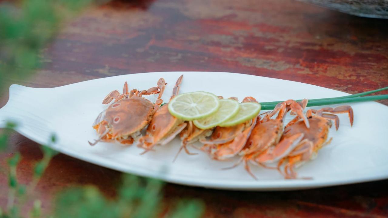 Tra Que Green Villa Hoi An Zewnętrze zdjęcie