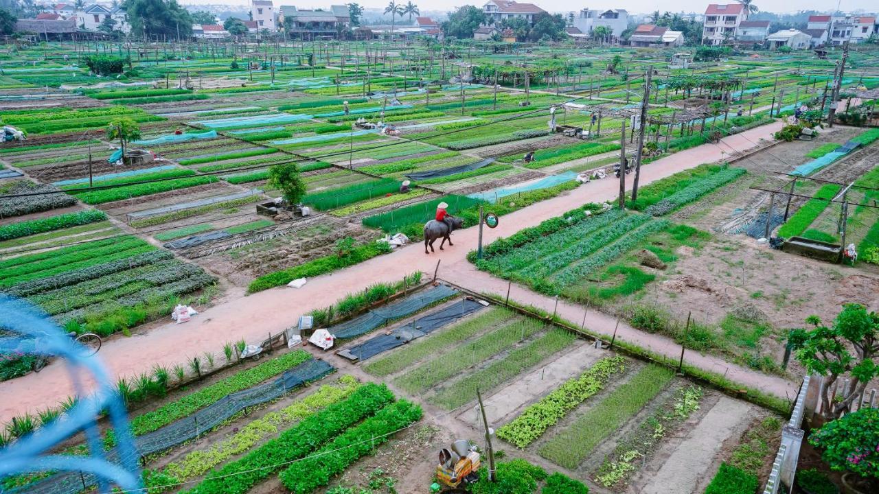 Tra Que Green Villa Hoi An Zewnętrze zdjęcie